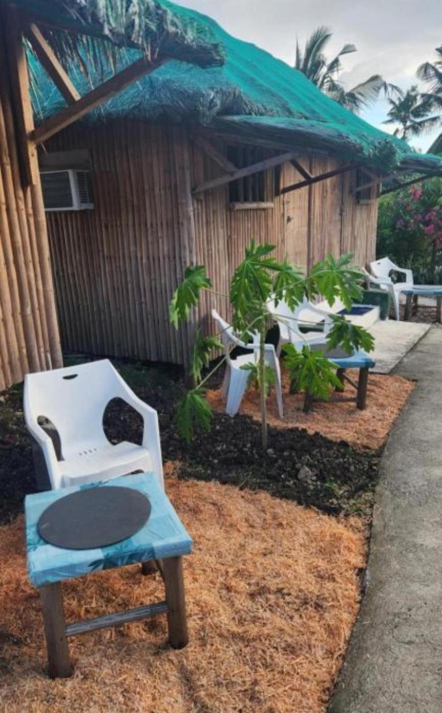 Nirvana Bamboo Houses & Dive Resort 몰볼 외부 사진