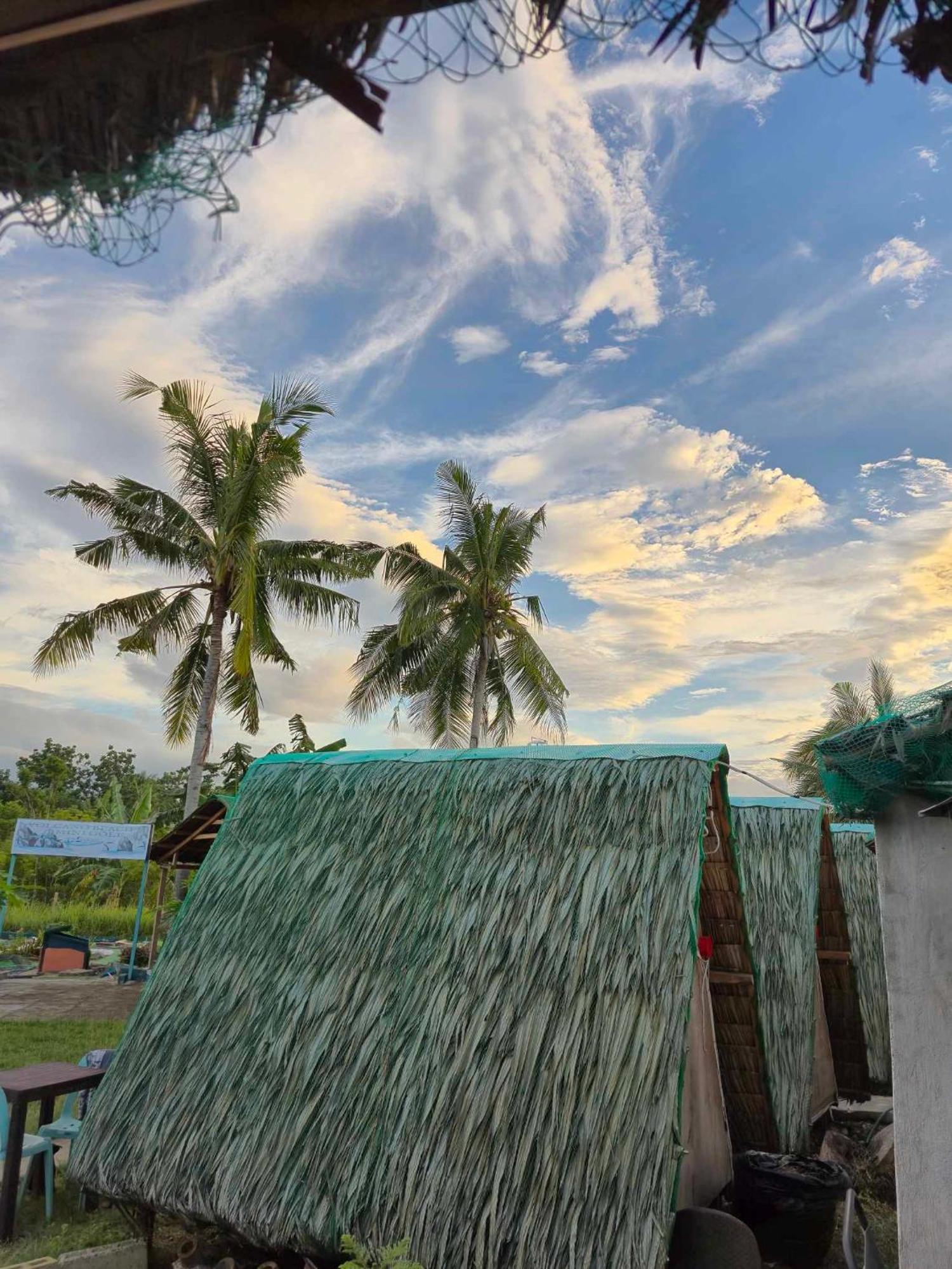 Nirvana Bamboo Houses & Dive Resort 몰볼 외부 사진
